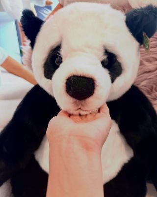 🐼 Roztomilost sama! Tahle panda vypadá jako živá a přímo vybízí k pomazlení. Kdo by odolal? ⁠🖤🤍 Může se stát součástí i...