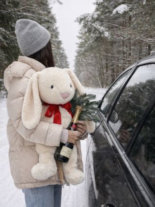 ❄️ Na hory si nezapomeň… řetězy ✔️ termosku ✔️ a muchláčka 🐰, co zahřeje líp než svařák 🧸🤍 🎁 Skladem | 👉 velkymedved.cz...